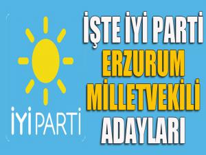 İYİ Parti Erzurum milletvekili adayları belli oldu