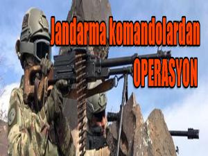 Jandarma komandolardan operasyon 