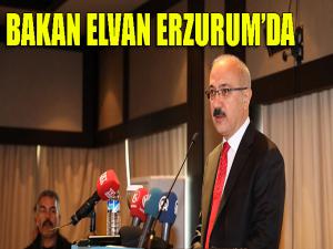 Kalkınma Bakanı Lütfi Elvan, Erzurumda