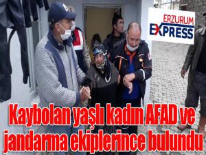 Kaybolan yaşlı kadın AFAD ve jandarma ekiplerince bulundu