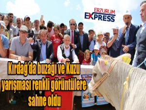 Kırdağda buzağı ve Kuzu yarışması renkli görüntülere sahne oldu