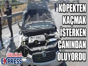 Köpeğe çarpmamak için direksiyonu kıran sürücü refüje çarparak karşı şeride uçtu