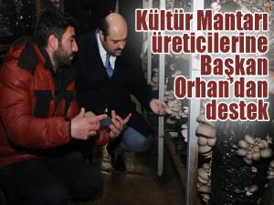  Kültür mantarı üreticilerine Başkan Orhandan destek 