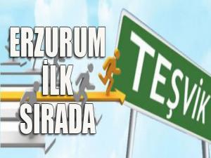 Kuzeydoğuda Erzurum ilk sırada