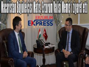 Macaristan Büyükelçisi Viktor Matis, Erzurum Valisi Okay Memişi ziyaret etti. 