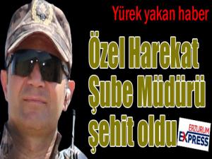 Mardin'den acı haber: Özel Harekat Şube Müdürü şehit oldu