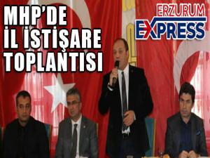 MHP'DE İL İSTİŞARE TOPLANTISI