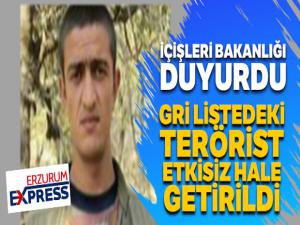 MİT-Jandarma ortak operasyonuyla Gri Liste'deki terörist öldürüldü