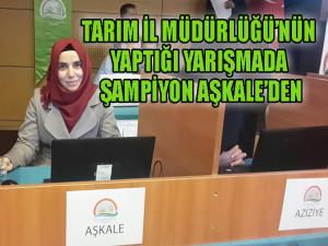 Nene Hatun Torunları Yarışıyorda şampiyon Aşkale 