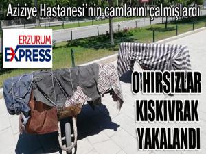 O hırsızlar kıskıvrak yakalandı...