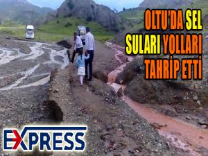 Oltuda sel suları yolları tahrip etti 