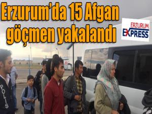 Otobüs bileti alarak İstanbula gitmek isteyen 15 Afgan göçmen yakalandı
