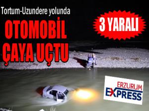 Otomobil çaya uçtu: 3 yaralı...