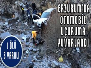 Otomobil uçuruma yuvarlandı: 1 ölü 3 yaralı