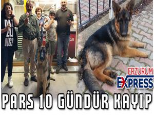 PARS 10 GÜNDÜR KAYIP 