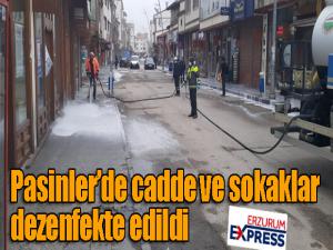 Pasinlerde cadde ve sokaklar dezenfekte edildi