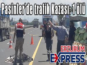 Pasinlerde trafik Kazası: 1 ölü 