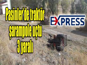  Pasinlerde traktör şarampole uçtu: 3 yaralı 