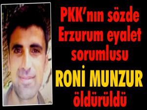 PKK'nın 'Panzer Kemal'in yerine geçirdiği o terörist de öldürüldü