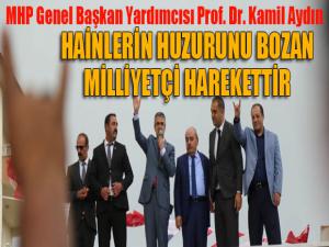 Prof. Dr. Aydın: Hainlerin oyununu bozan Milliyetçi Harekettir