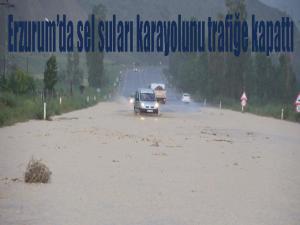 Sel suları karayolunu trafiğe kapattı 