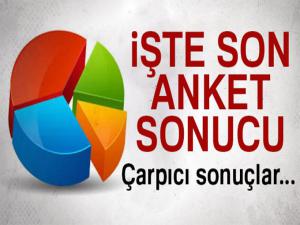 Son anket sonuçları 