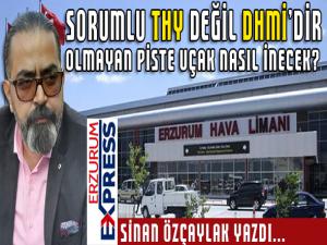 SORUMLU THY DEĞİL DHMİ' DİR 