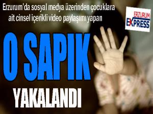 Sosyal medya üzerinden çocuklara ait cinsel içerikli video paylaşımı yapan şahıs tutuklandı