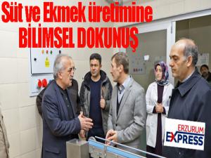 Süt ve Ekmek üretimine bilimsel dokunuş