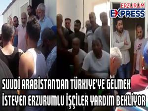 Suudi Arabistandan Türkiye'ye gelmek isteyen Erzurumlu işçiler yardım bekliyor