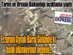 Tarım ve Orman Bakanlığından balık ölümleri açıklaması