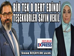 Teşekkürler Sayın Vekil 