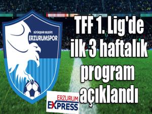 TFF 1. Lig'de ilk 3 haftalık program açıklandı