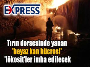 Tırın dorsesinde yanan 'beyaz kan hücresi' denilen 'lökosit'ler imha edilecek 