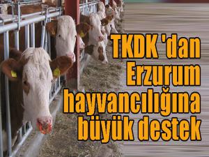 TKDK 'dan Erzurum hayvancılığına büyük destek 