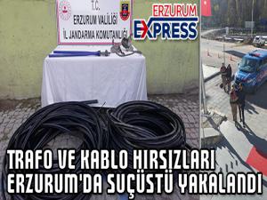 Trafo ve kablo hırsızları Erzurum'da suçüstü yakalandı