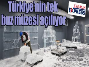 Türkiyenin tek buz müzesi açılıyor