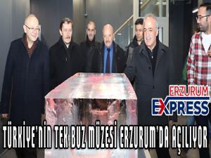Türkiye'nin tek buz müzesi Erzurum'da açılıyor