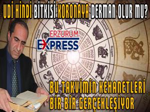 UDİ HİNDİ BİTKİSİ KORONAYA DERMAN OLUR MU? 