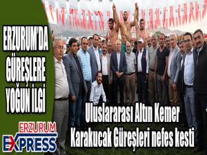 Uluslararası Altın Kemer Karakucak Güreşleri nefes kesti 