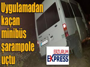 Uygulamadan kaçan minibüs şarampole uçtu