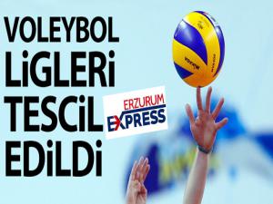 Voleybol ligleri tescil edildi