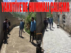 Yakutiye, köyleri taşla kaplıyor 
