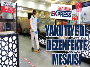 Yakutiyenin dezenfekte mesaisi sürüyor