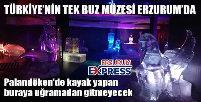 Havalar soğudu, Türkiye’nin tek buz müzesine ilgi arttı