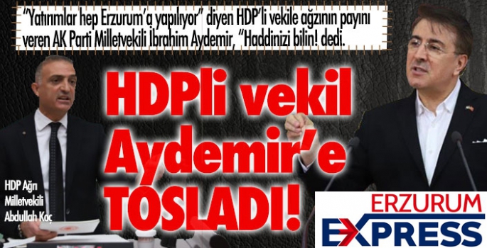 HDP'li vekil, İbrahim Aydemir'e tosladı!