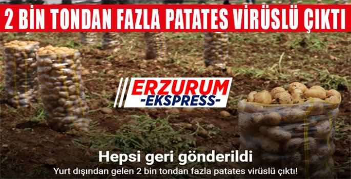 Hepsi geri gönderildi