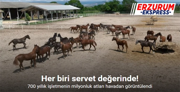 Her biri servet değerinde