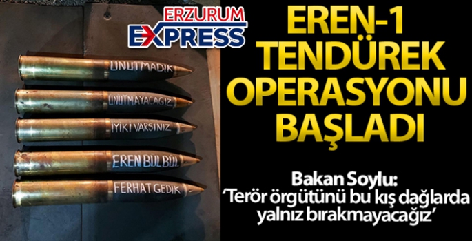 İçişleri Bakanlığı açıkladı! Eren-1 Tendürek operasyonu başlatıldı