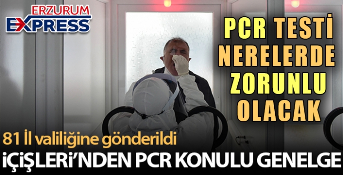 İçişleri Bakanlığı'ndan PCR testi konulu yeni genelge